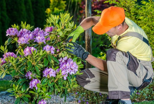Close-up of damaged plants and a client taking photos