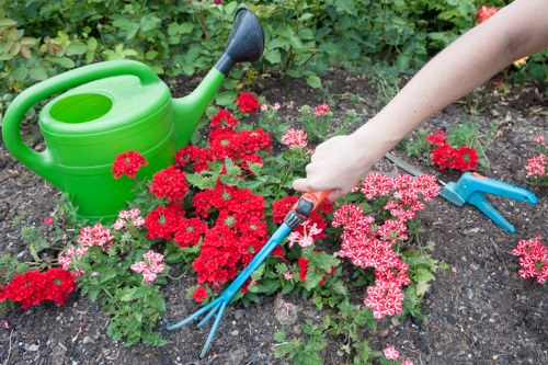 Team pruning shrubs in a terraced house garden in Peckham