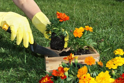 Local decking service benefits in Peckham