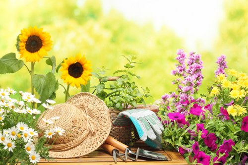 A vibrant garden scene featuring a variety of blooming flowers, including tall sunflowers with bright yellow petals and dark centers, purple and pink phlox, and white daisies with yellow centers, arranged along a wooden garden table. The table holds gardening tools such as a straw hat, gloves, and pruning shears, suggesting recent or ongoing gardening activities. Surrounding the table, lush green foliage and other plants create a lively outdoor environment, with a soft, blurred background of sunlight filtering through leaves, indicating a warm, sunny day in a well-maintained garden in Peckham. The scene reflects attention to gardening detail and outdoor care, fitting for a professional garden service website covering landscaping and lawn care in South London areas like Peckham.