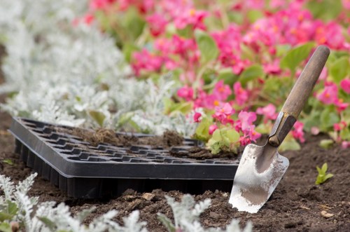 Maintaining your deck with professional care