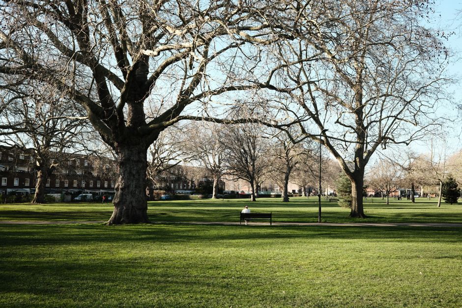 A spacious outdoor park area featuring a large lawn with areas of freshly cut grass and patches of exposed soil, bordered by a variety of mature deciduous trees with dense green foliage providing shad